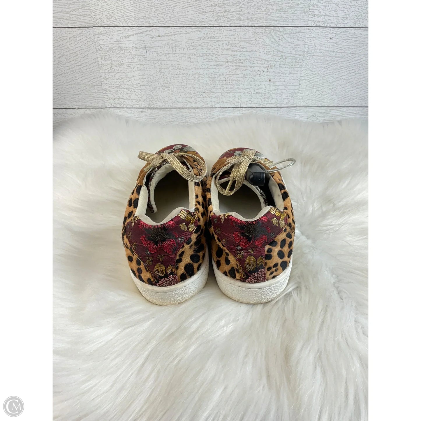 Shoes Flats By Johnny Was In Animal Print, Size: 6.5