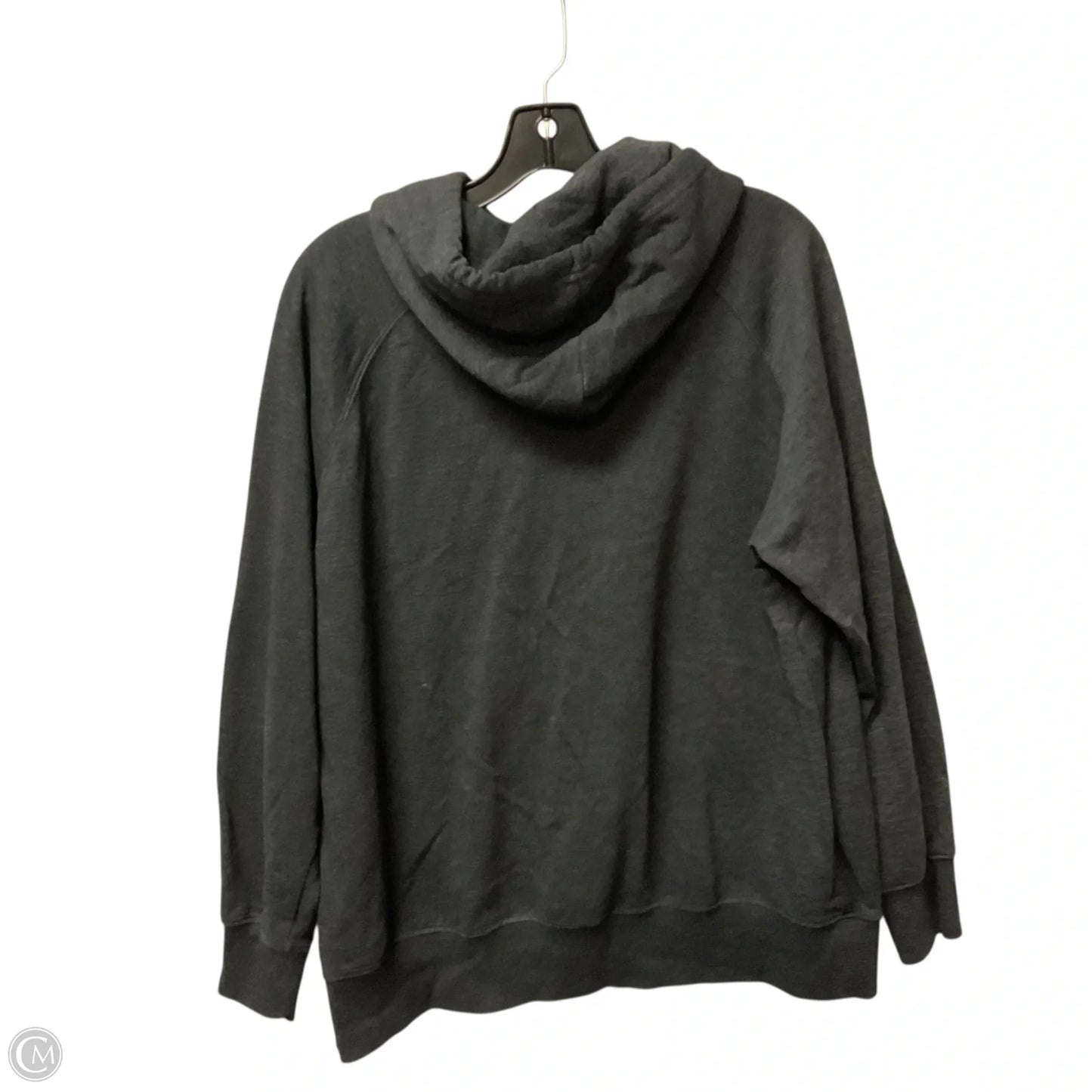 Sweatshirt Hoodie By The North Face In Grey, Size: L