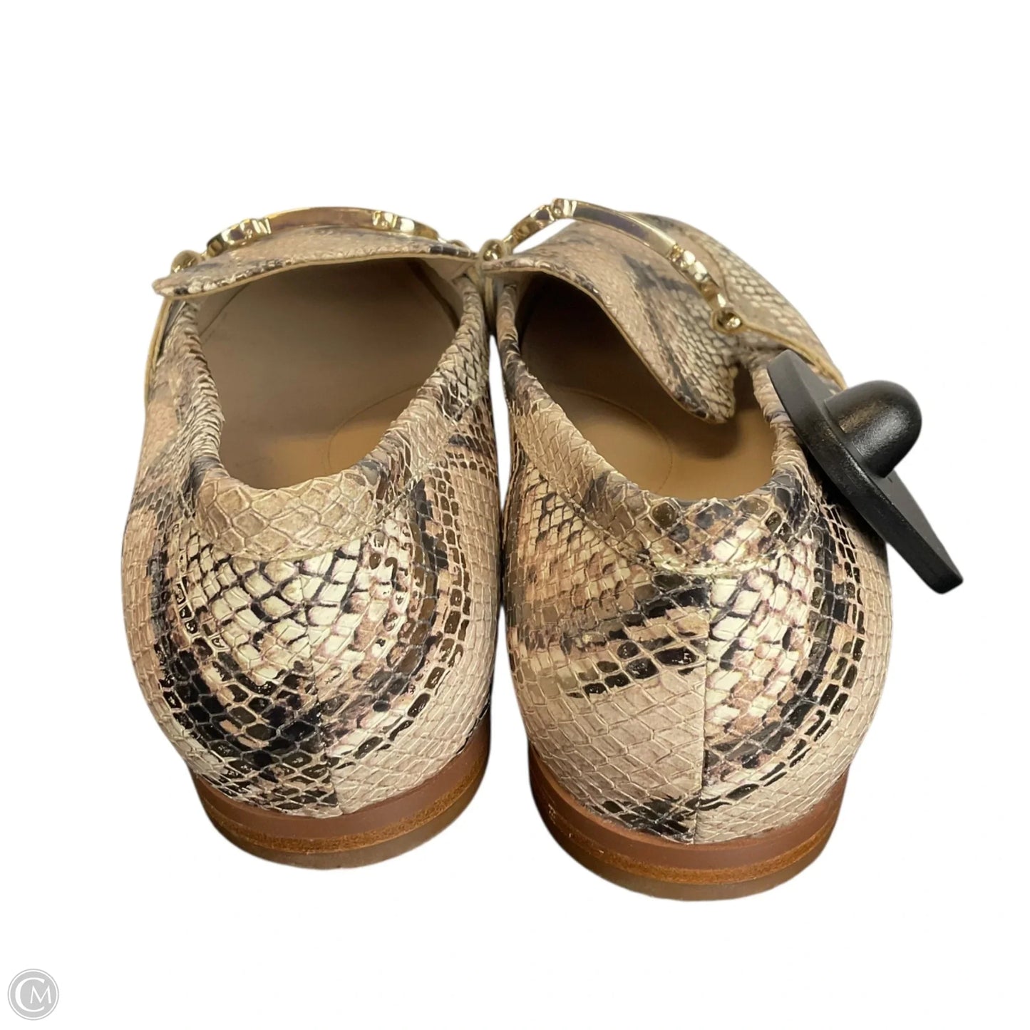 Shoes Flats By Cole-haan In Snakeskin Print, Size: 9