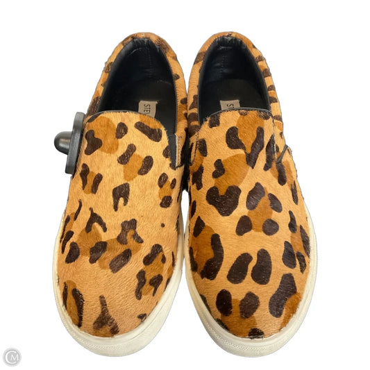 Shoes Sneakers By Steve Madden In Animal Print, Size: 6