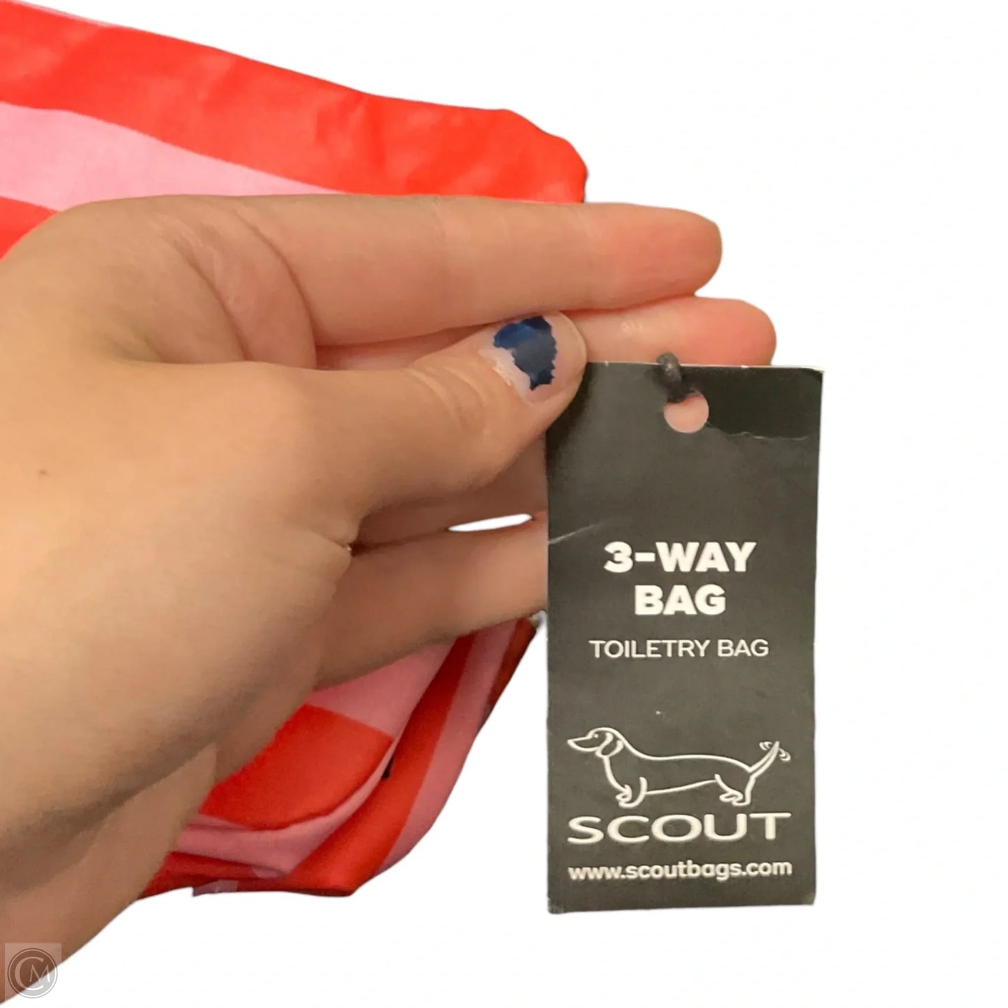 Makeup Bag By Scout, Size: Medium