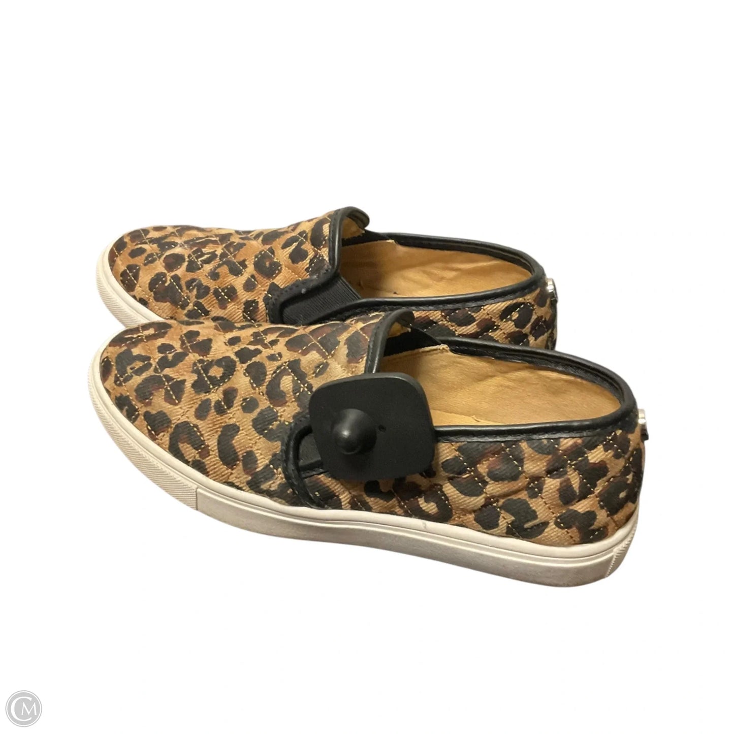 Shoes Flats By Steve Madden In Animal Print, Size: 8.5