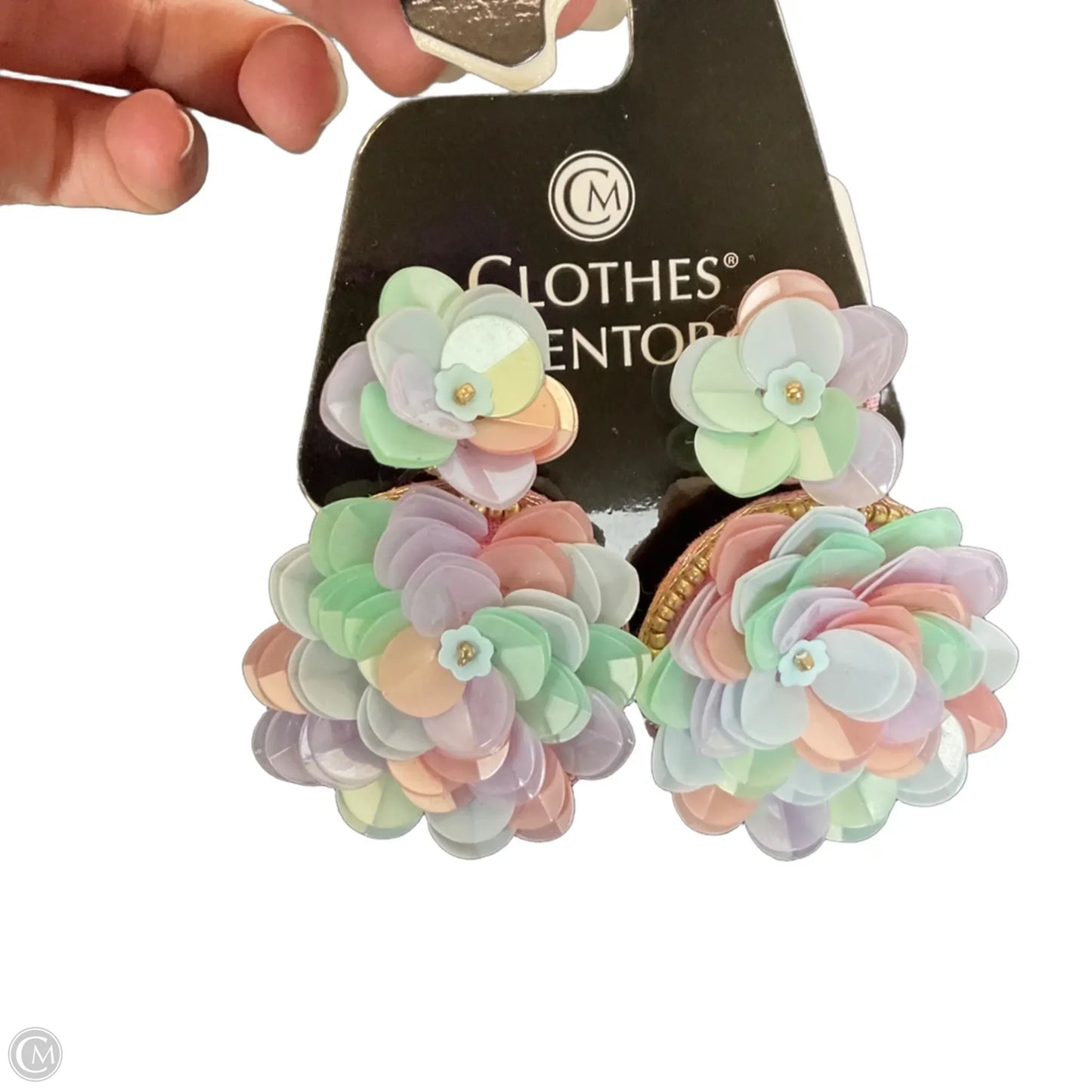 Earrings Dangle/drop By Clothes Mentor