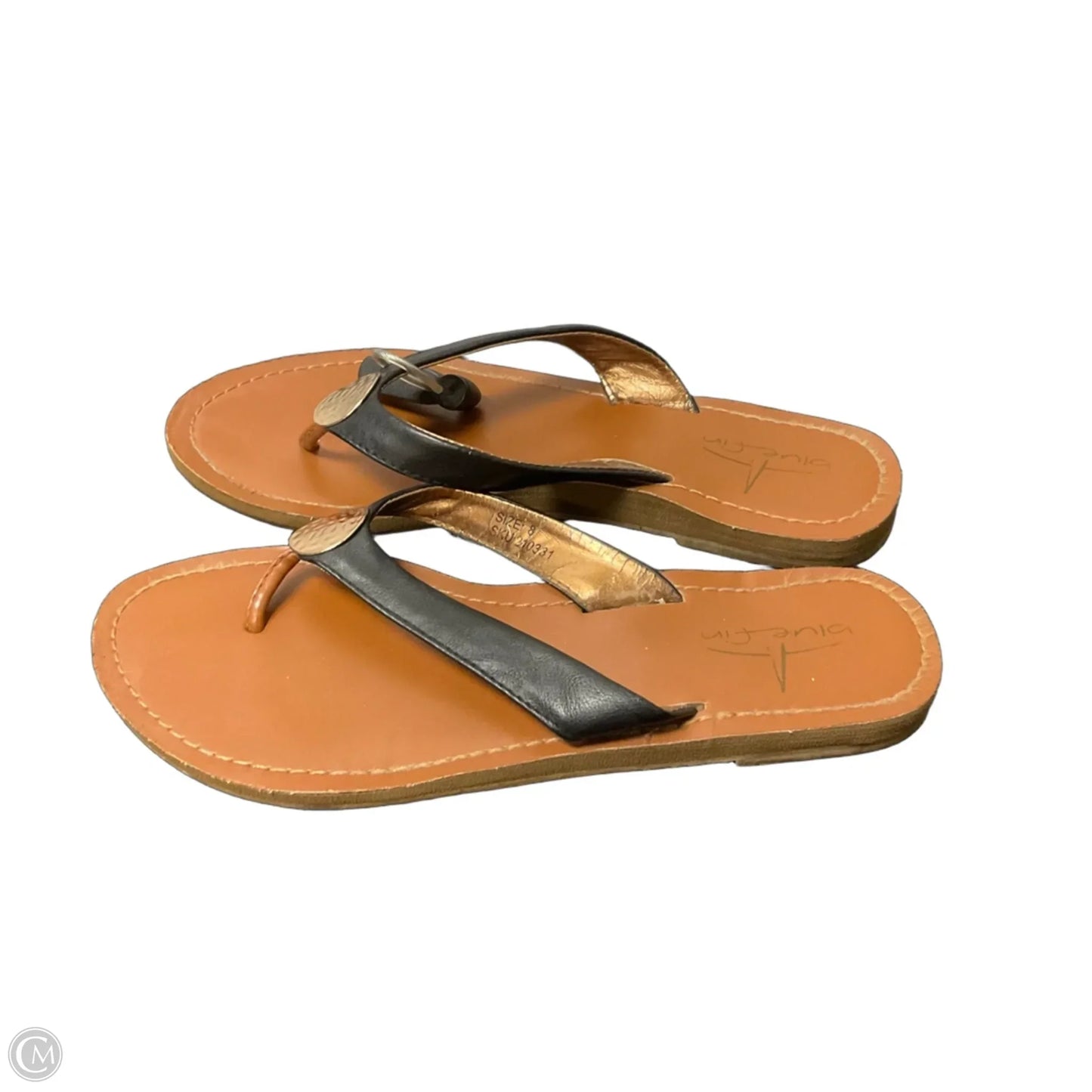 Sandals Flip Flops By Clothes Mentor In Black, Size: 8