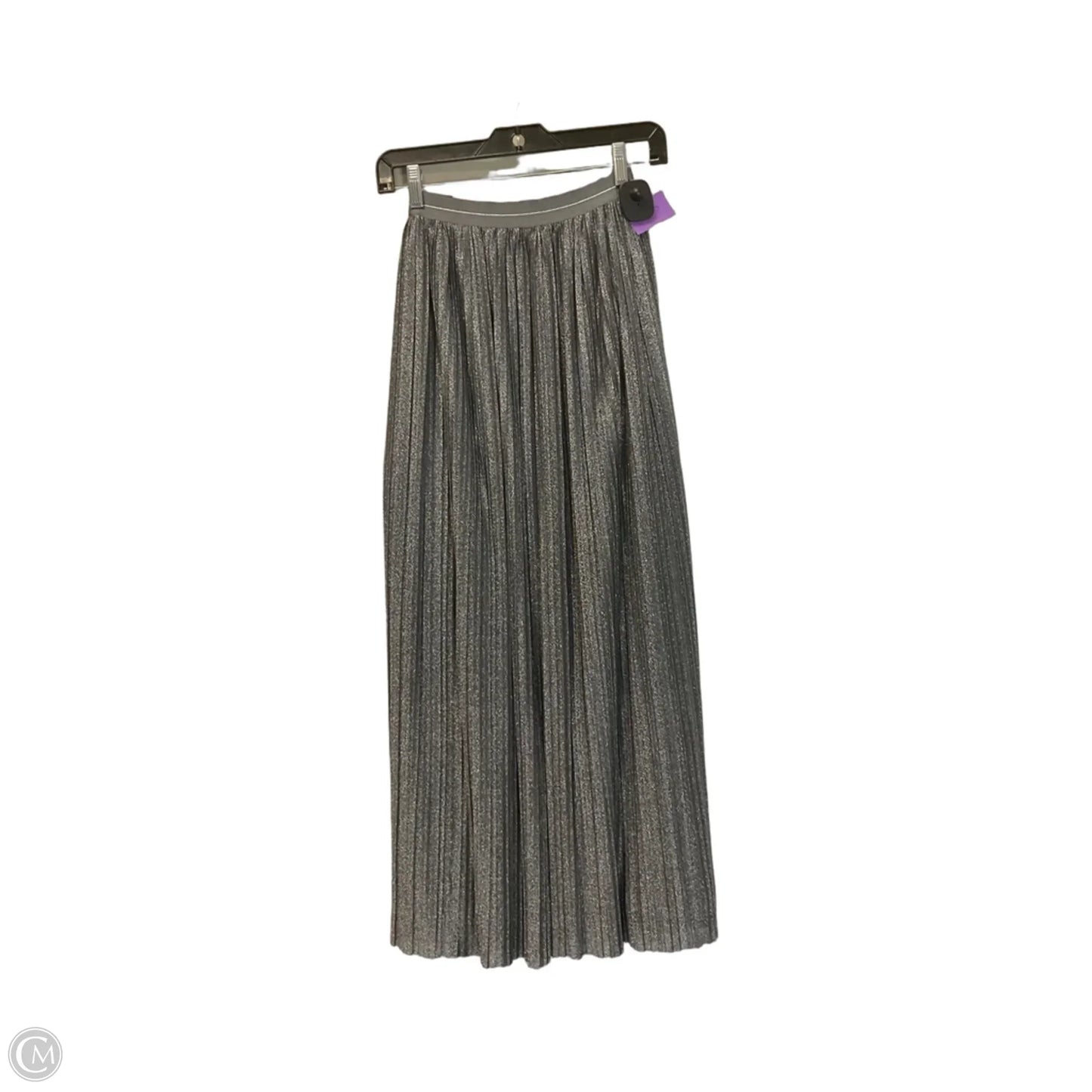 Skirt Maxi By Aerie In Silver, Size: S