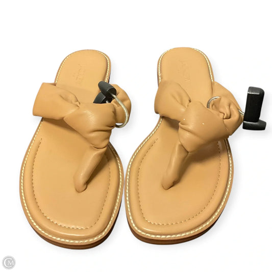Sandals Flip Flops By J. Crew In Brown, Size: 8