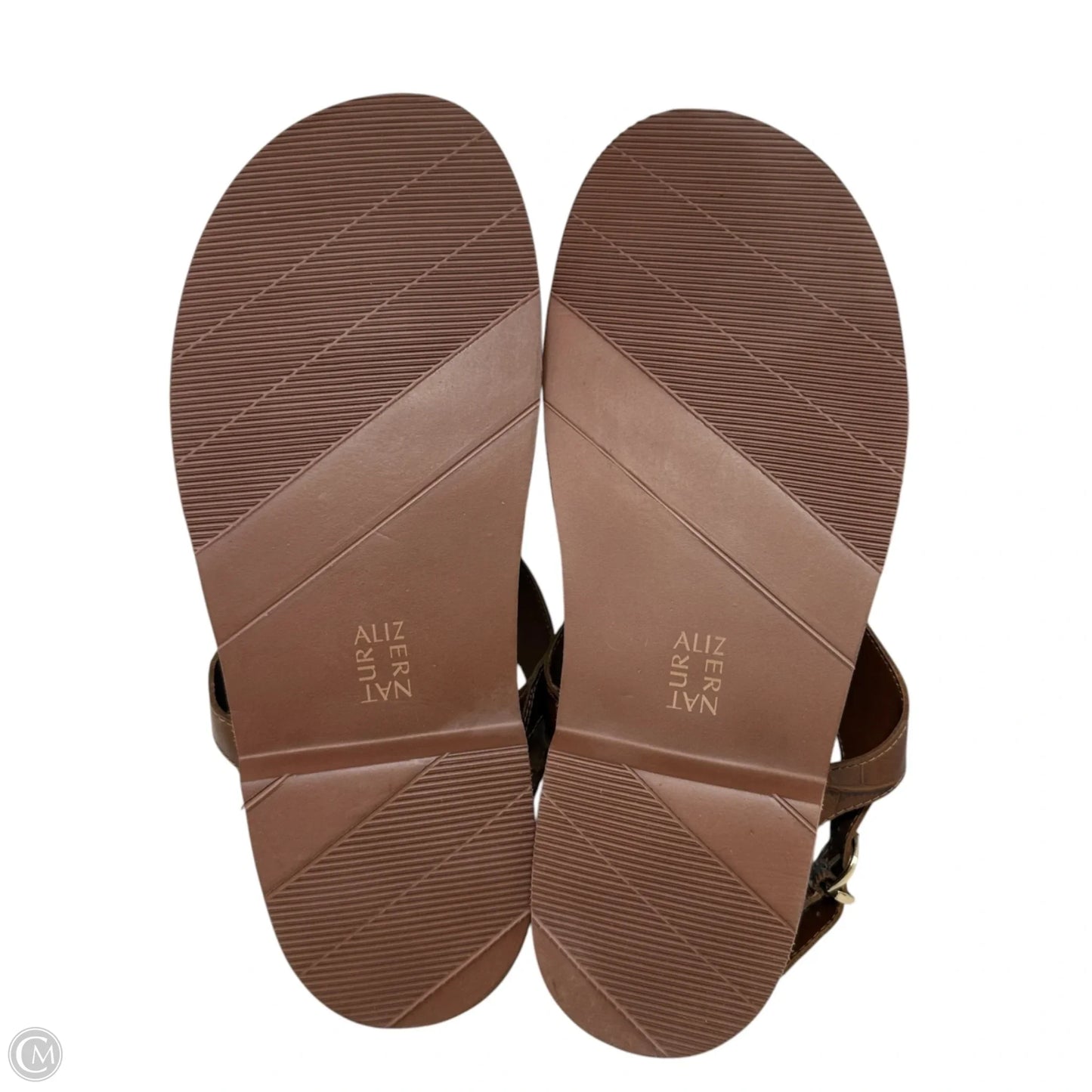 Sandals Flats By Naturalizer In Brown, Size: 10