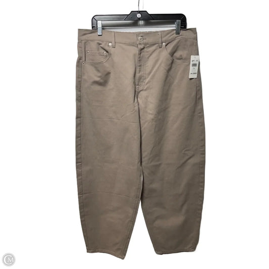 Barrel Leg Pants By Splendid In Taupe, Size: Xl