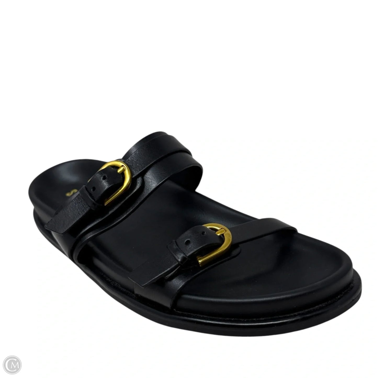 Zina Sandals Flats By Steve Madden In Black, Size: 8.5
