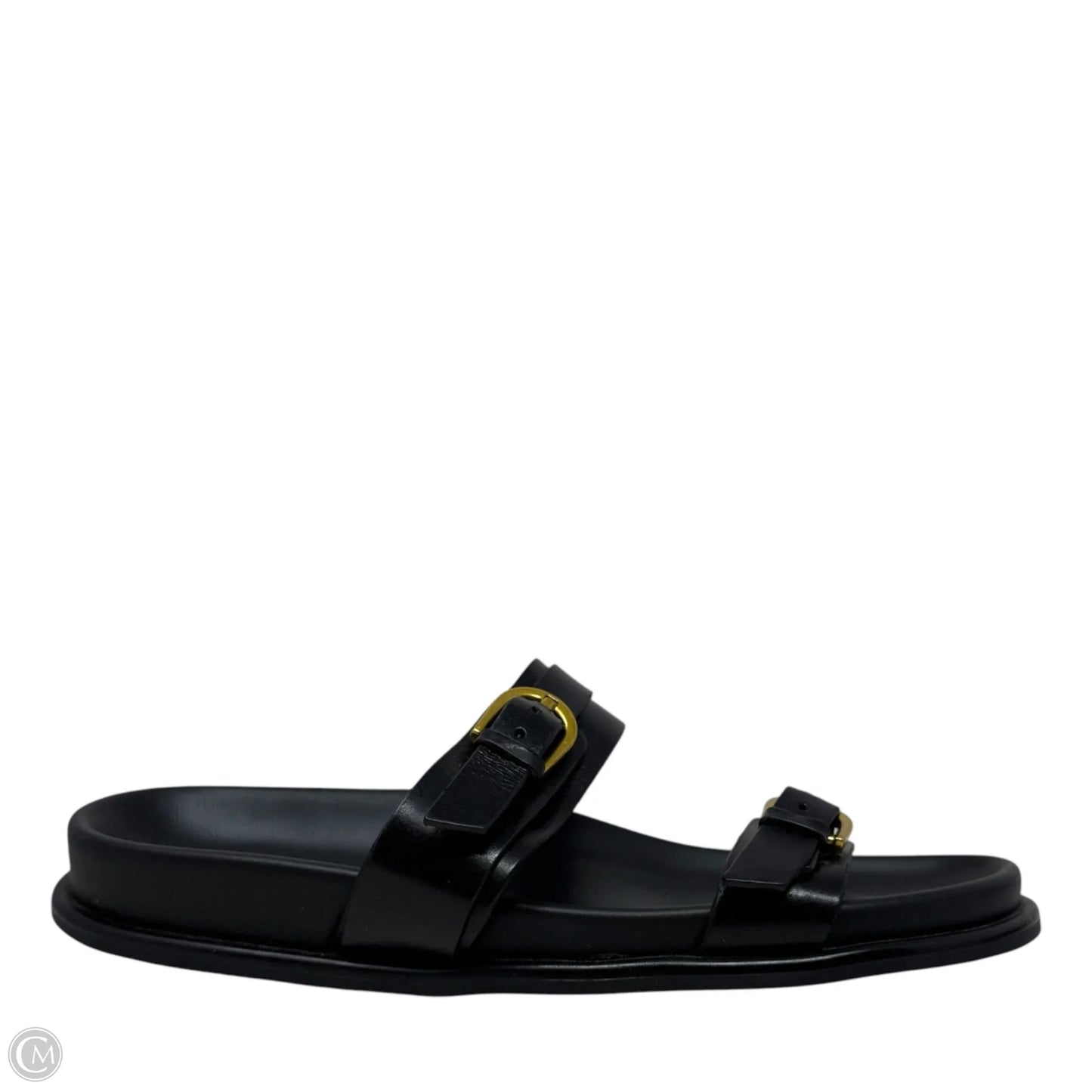 Zina Sandals Flats By Steve Madden In Black, Size: 8.5