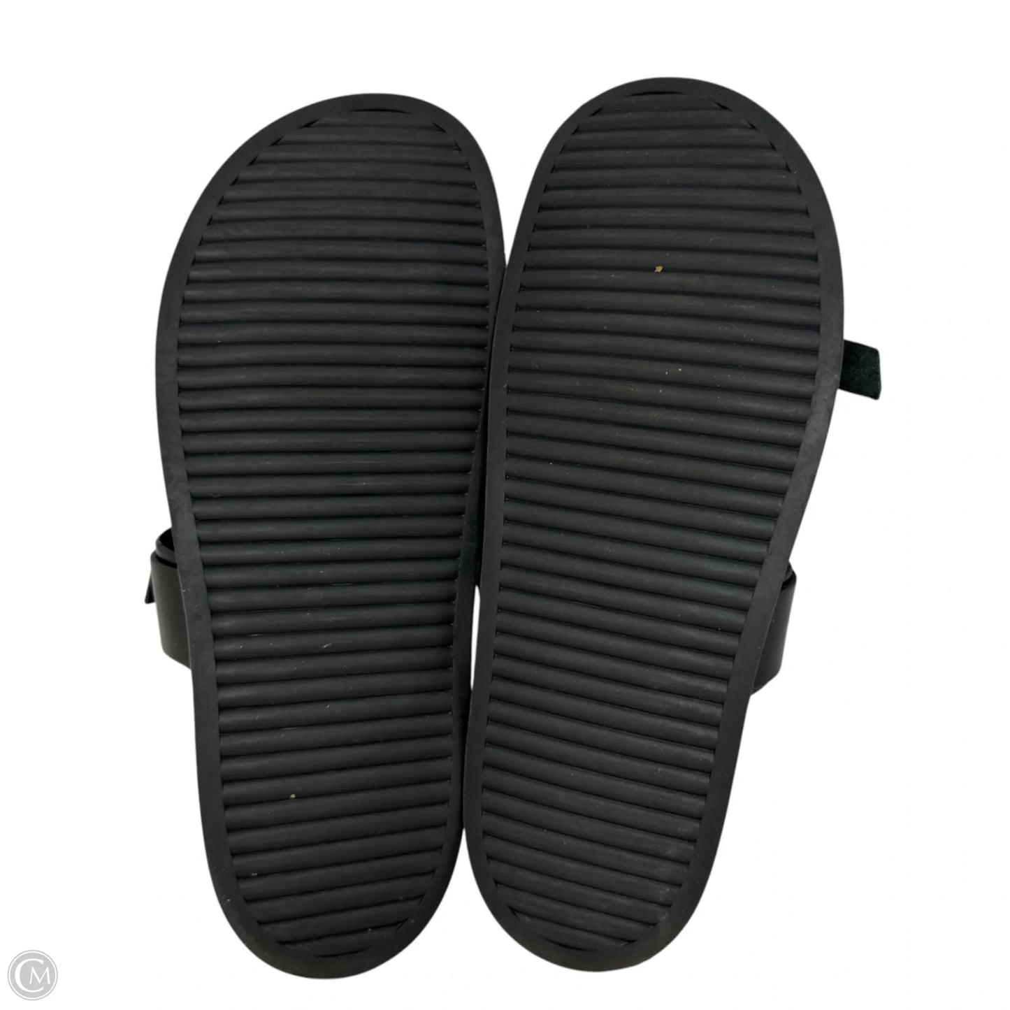 Zina Sandals Flats By Steve Madden In Black, Size: 8.5