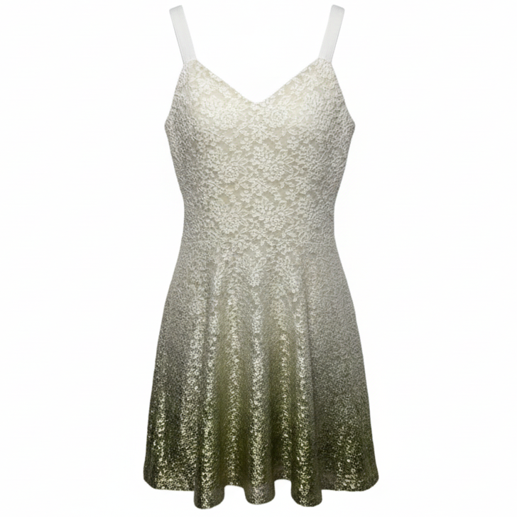 Reflected Moonlight Ombré Lace Foil Fit & Flare Mini Dress By Free People In Cream, Size: M