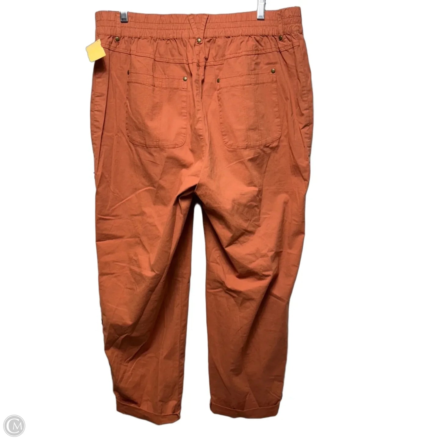 Pants Cargo & Utility By Soft Surroundings In Orange, Size: L