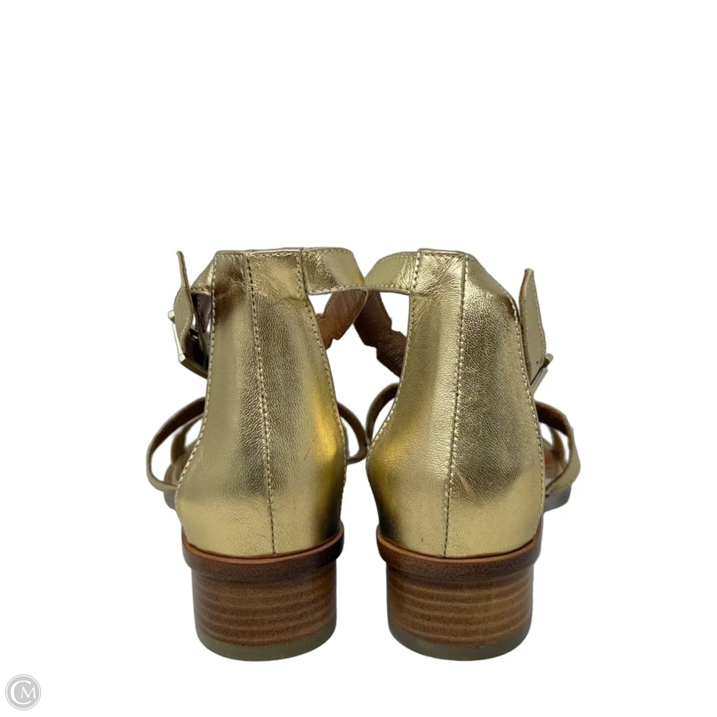Risa Gladiator Sandals By Aquatalia In Gold Metallic, Size: 7.5