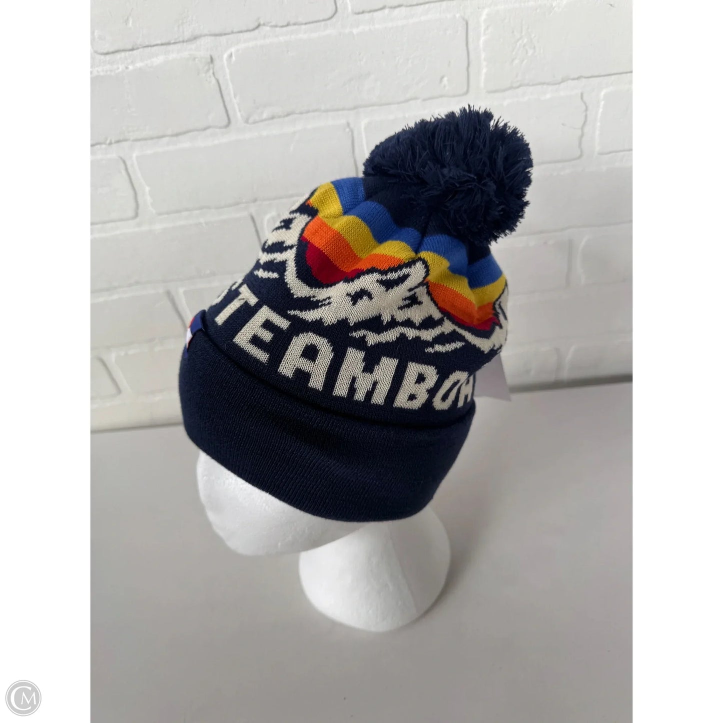 Hat Beanie By Clothes Mentor