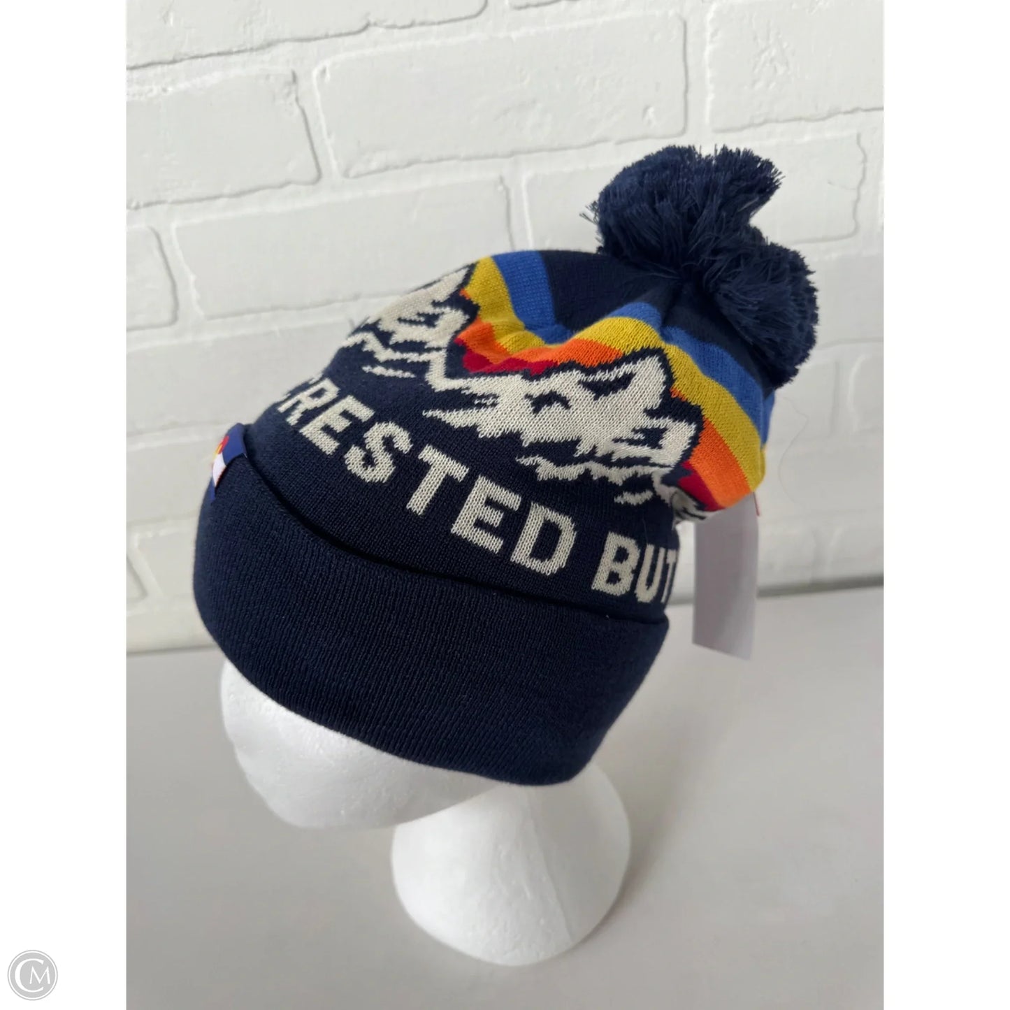 Hat Beanie By Clothes Mentor