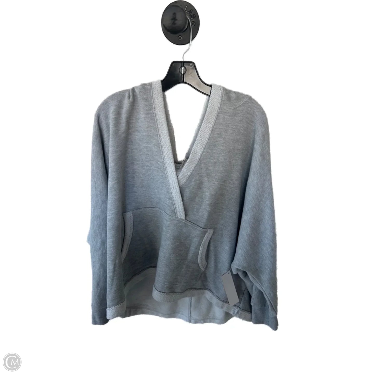 Sweatshirt Hoodie By Terra & Sky In Grey, Size: 3x