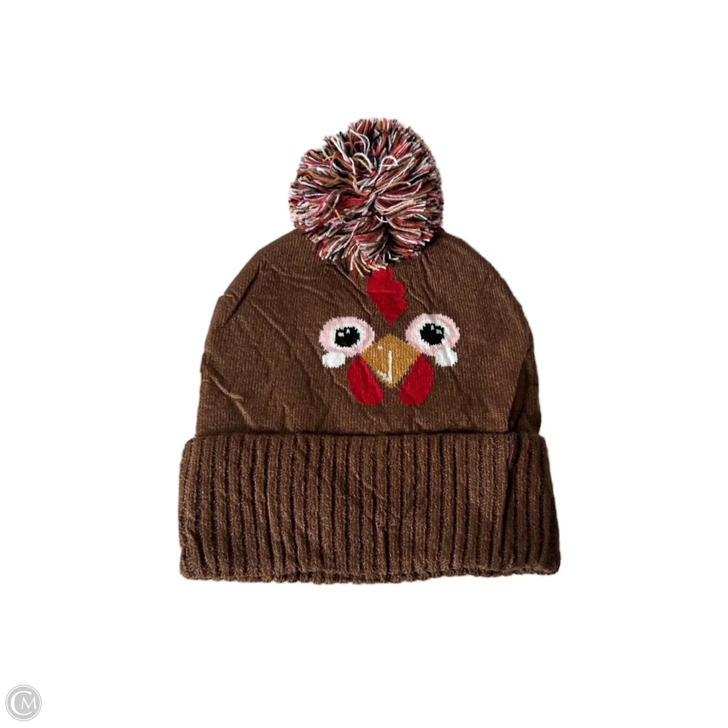 Hat Beanie By Clothes Mentor