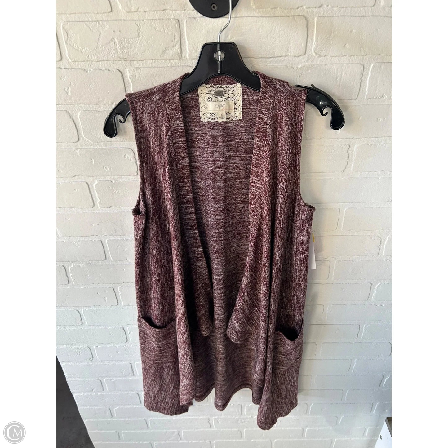 Vest Sweater By Cupio In Brown, Size: S