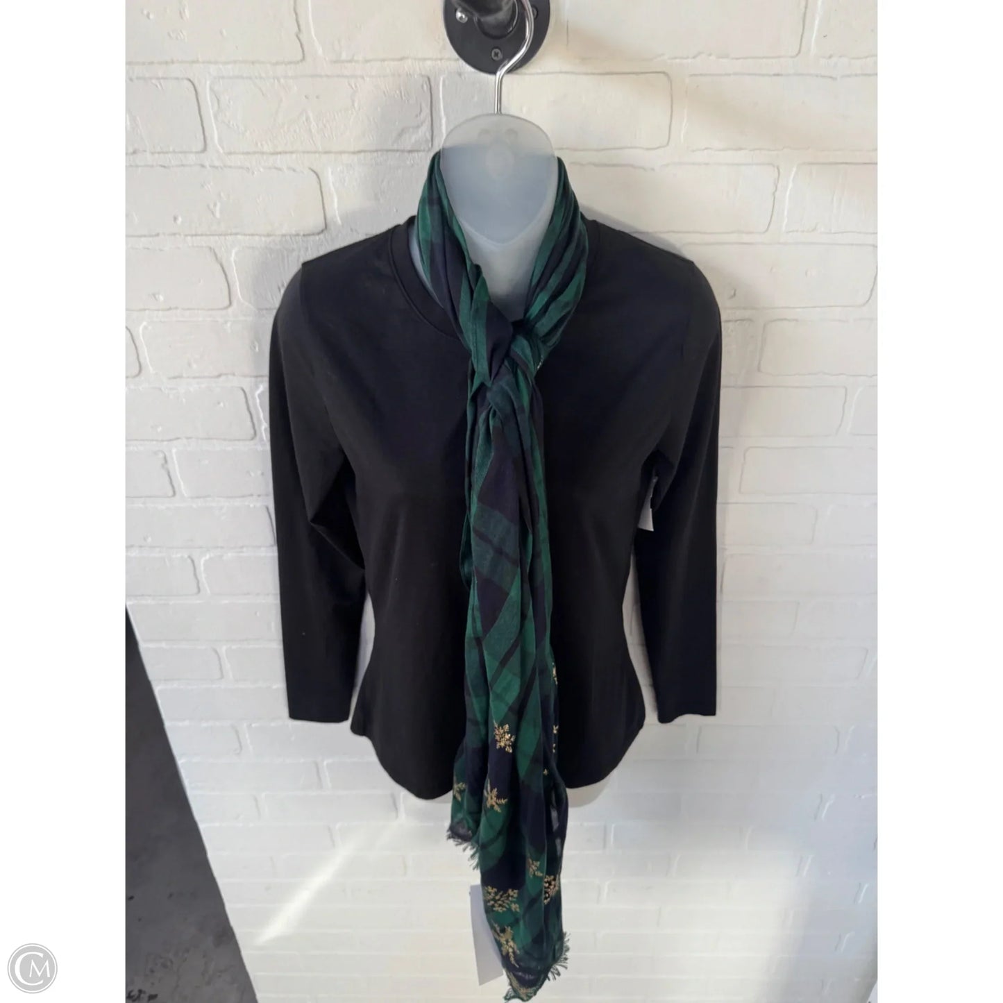 Scarf Long By Clothes Mentor