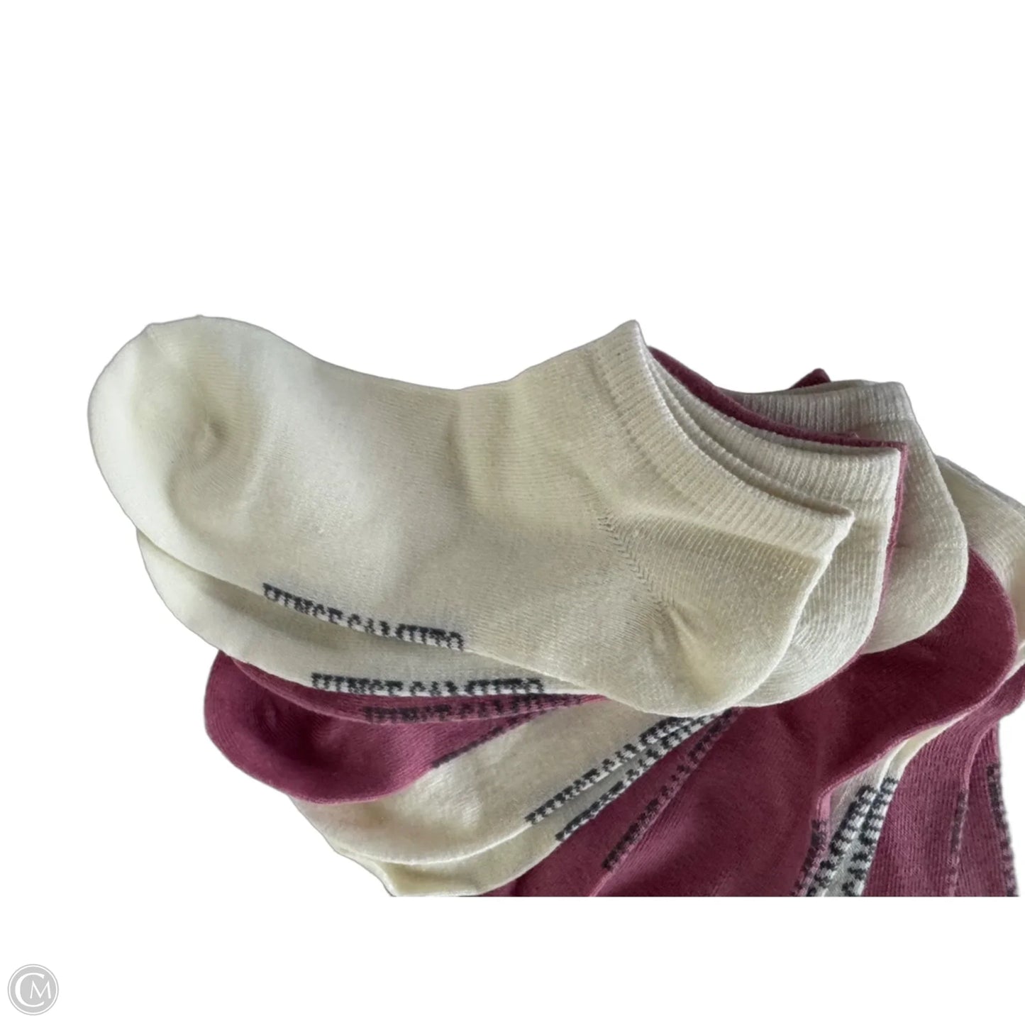 Socks By Vince Camuto In Cream & Pink, Size: Osfm
