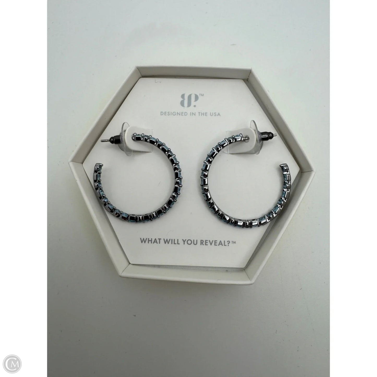 Earrings Hoop By Bp