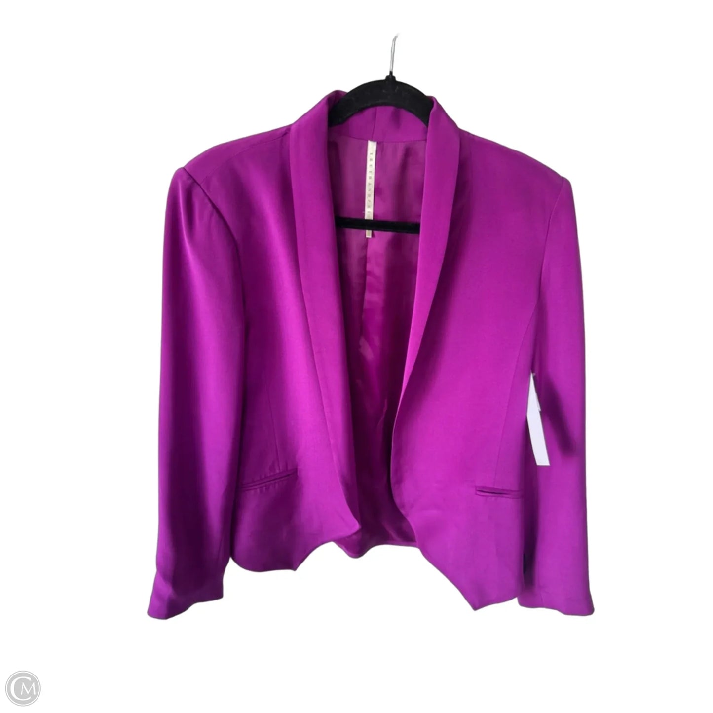 Blazer By Cmb In Purple, Size: L