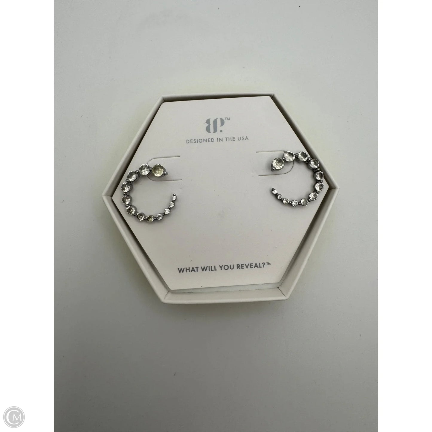 Earrings Hoop By Bp