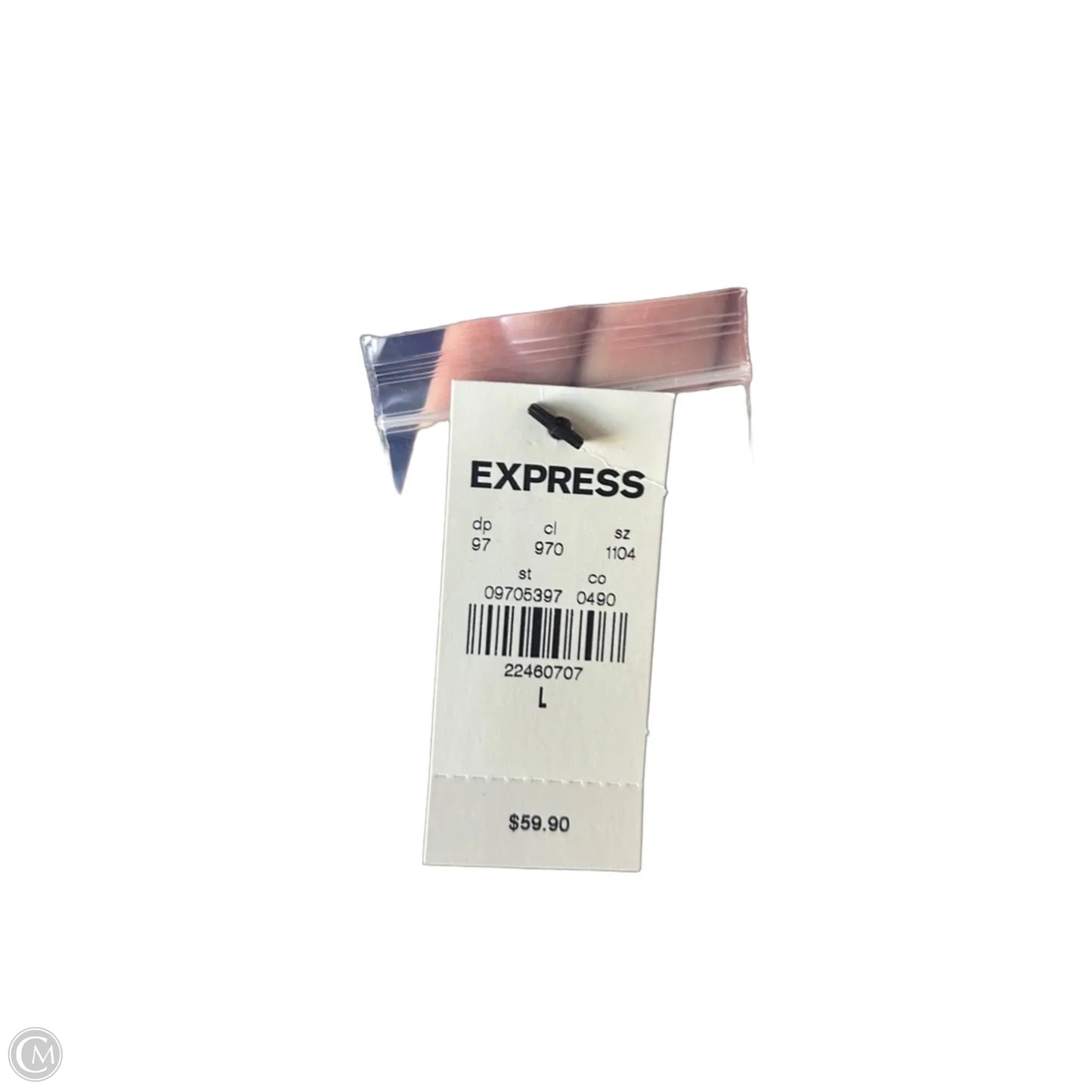 Blouse Long Sleeve By Express In Blue, Size: L