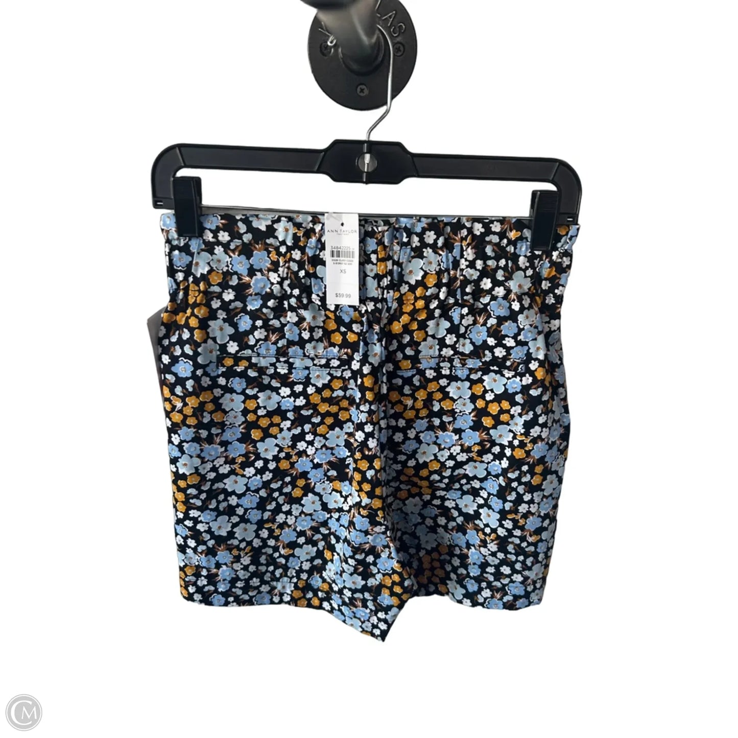 Shorts By Ann Taylor In Blue & Brown, Size: Xs