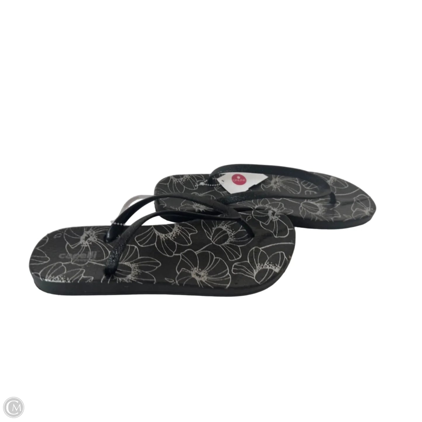 Sandals Flip Flops By Capelli In Black & White, Size: 8