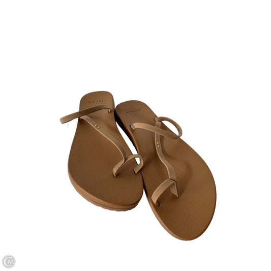 Sandals Flip Flops By Sanuk In Brown, Size: 8