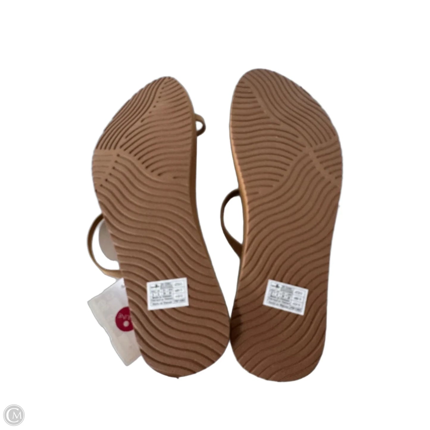 Sandals Flip Flops By Sanuk In Brown, Size: 8