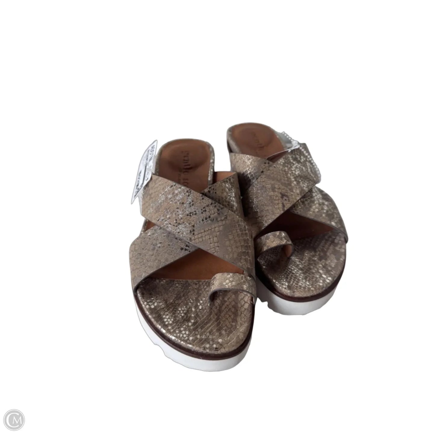 Sandals Flats By Gentle Souls In Snakeskin Print, Size: 6
