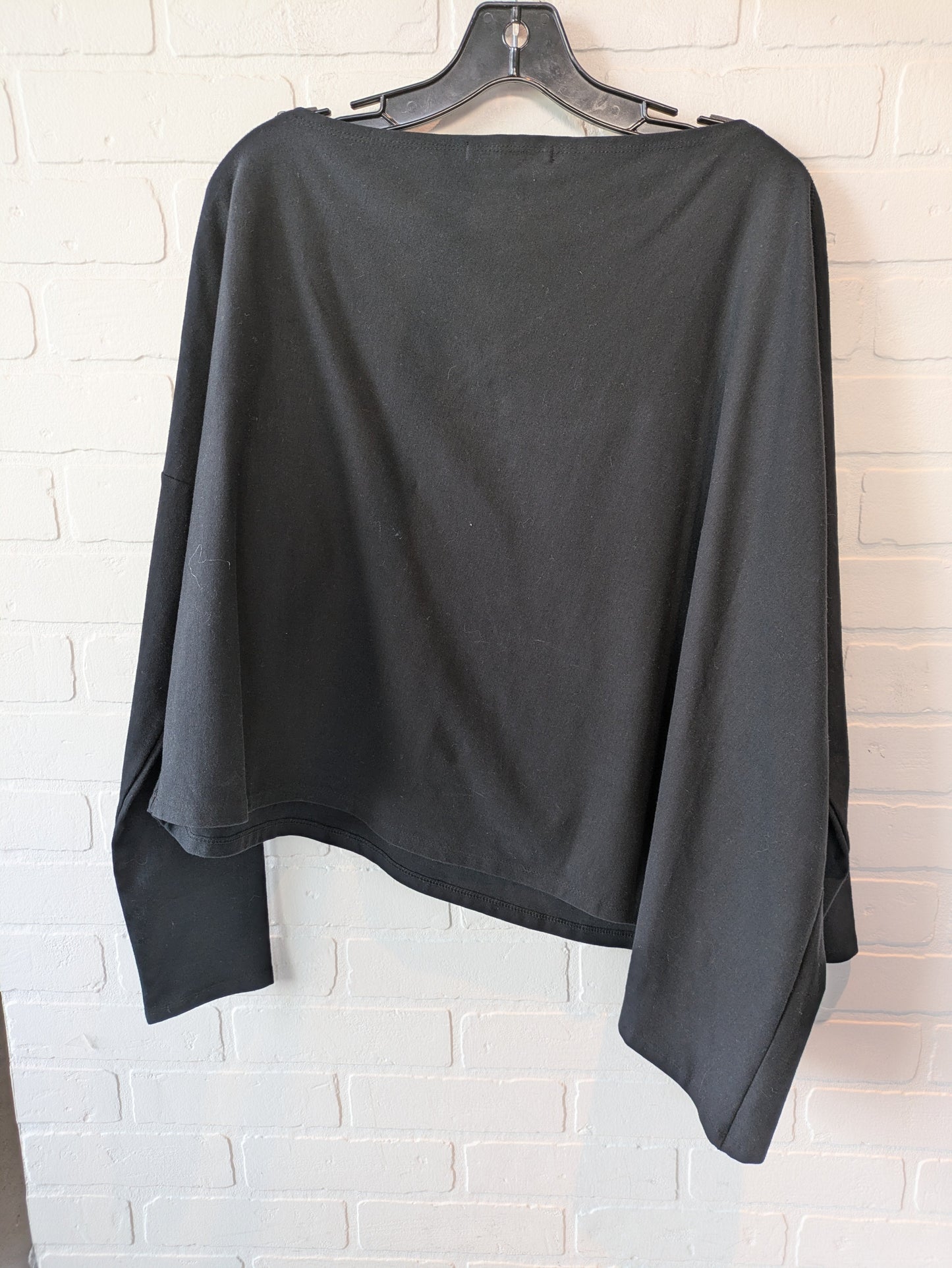 Black Top Long Sleeve Clothes Mentor, Size L