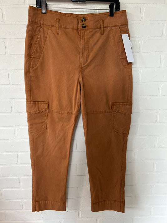 Orange Pants Chinos & Khakis Cabi, Size 4