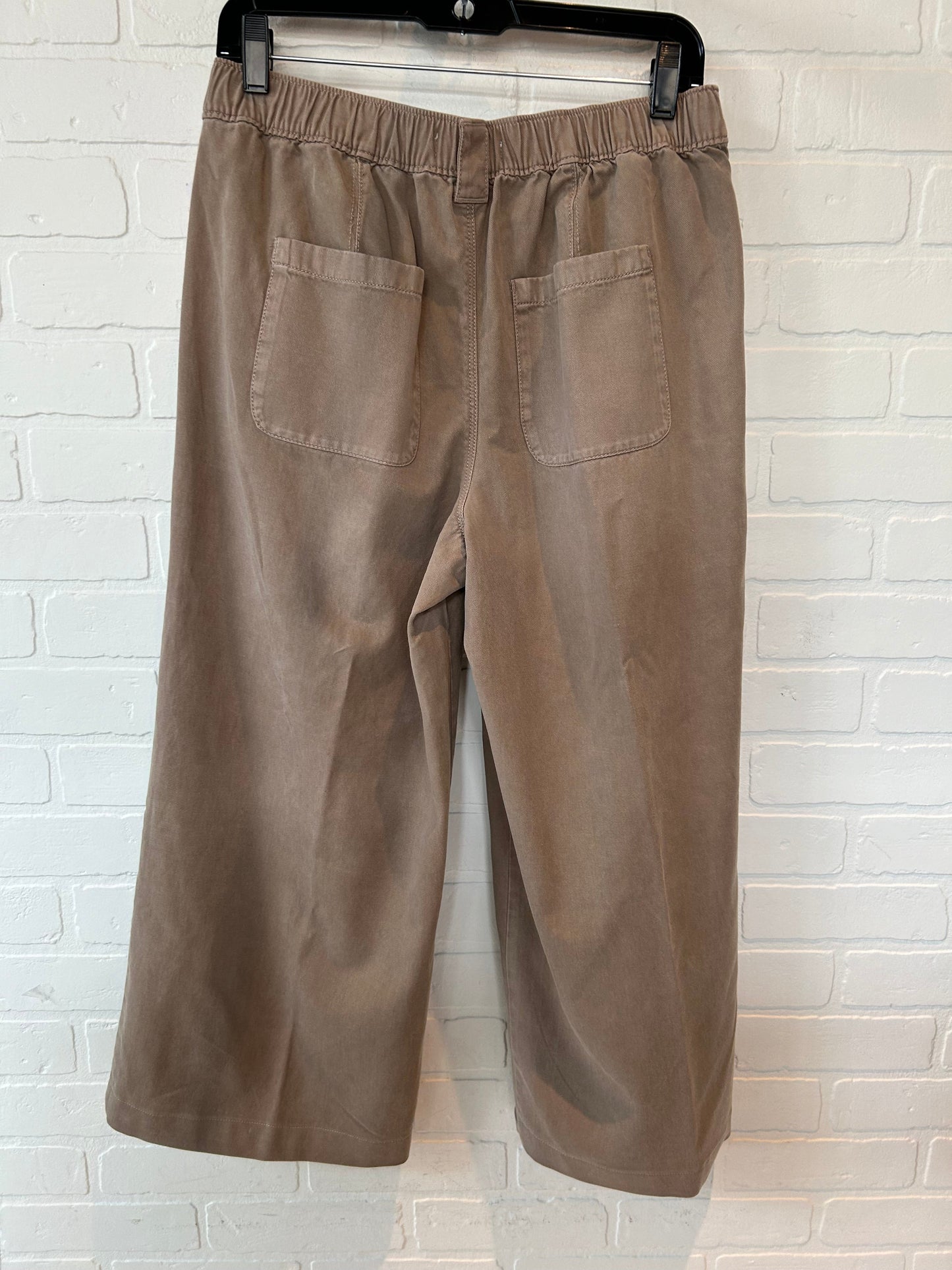 Tan Pants Other Sonoma, Size 8