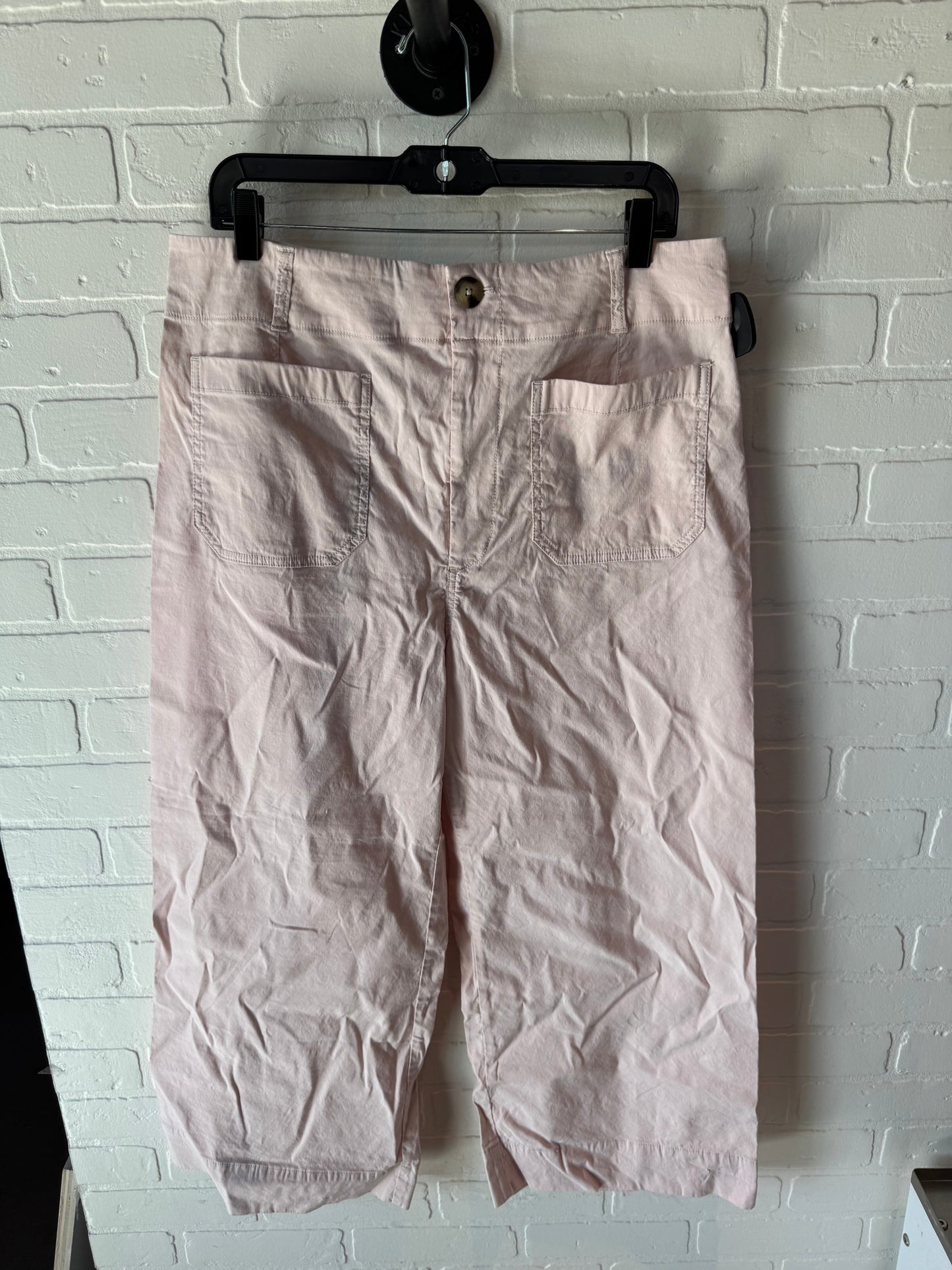 Pants Other By Maeve In Pink, Size: 16