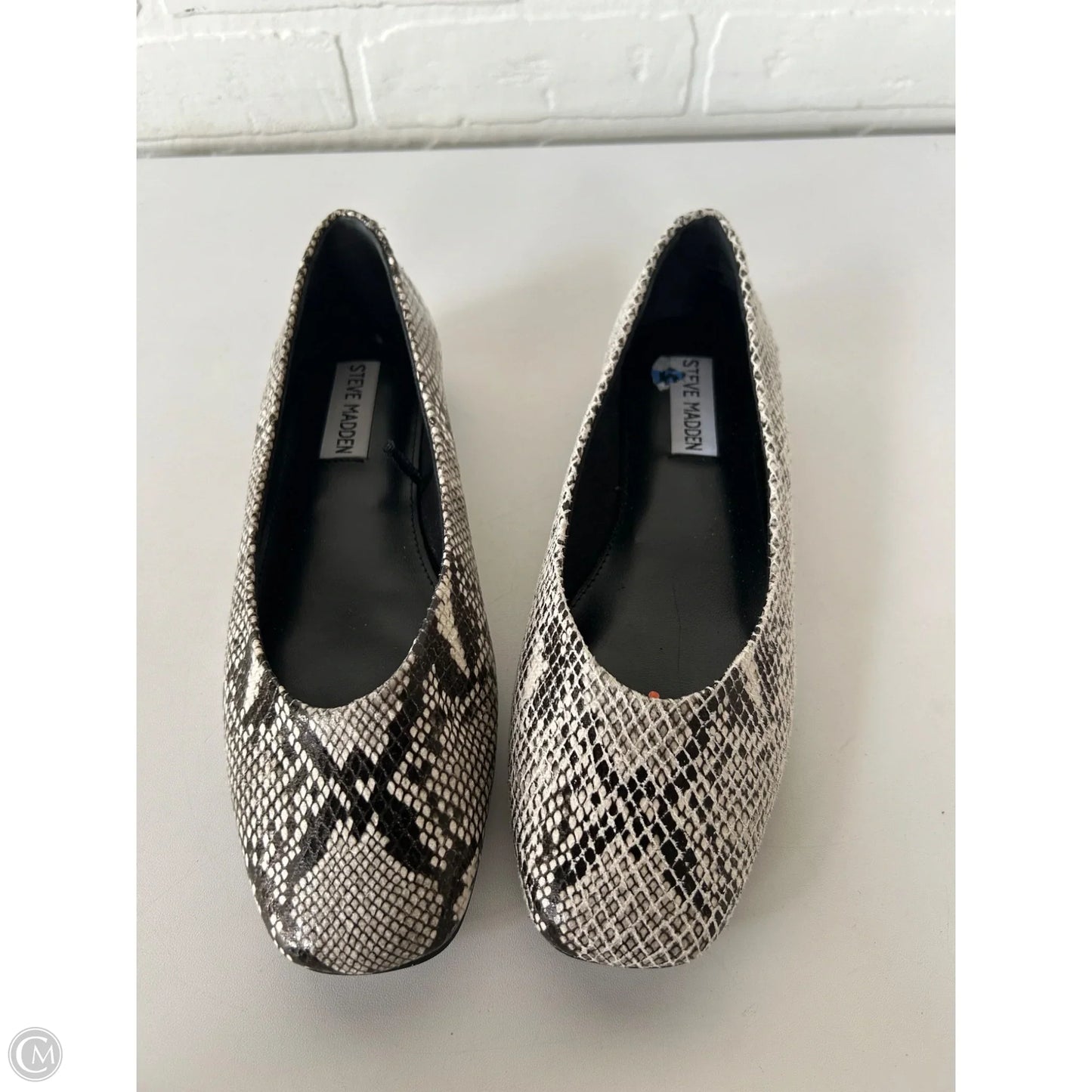 Shoes Flats By Steve Madden In Snakeskin Print, Size: 6.5