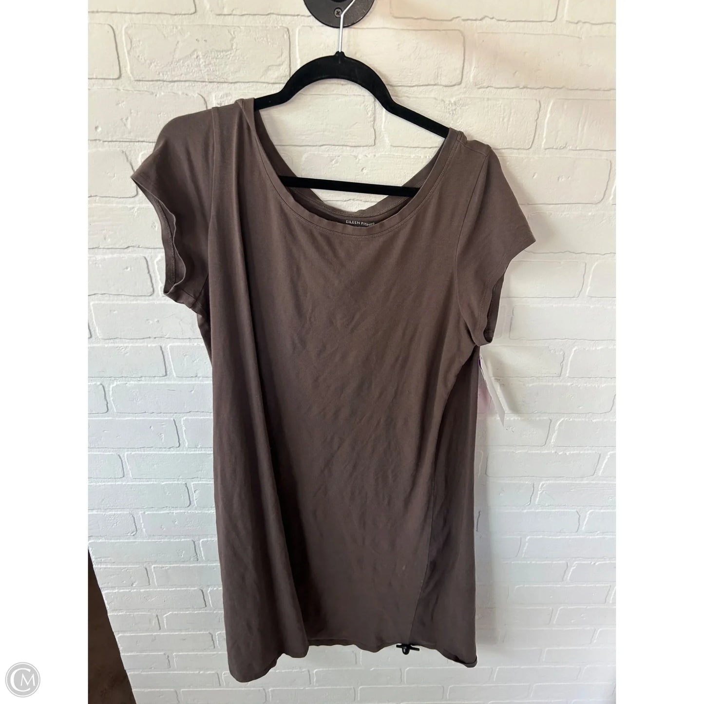 Dress Casual Short By Eileen Fisher In Brown, Size: Xl