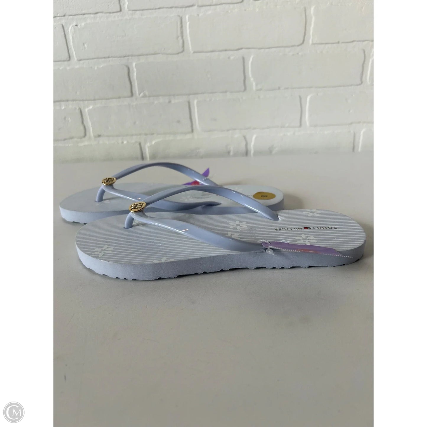 Sandals Flip Flops By Tommy Hilfiger In Blue, Size: 8