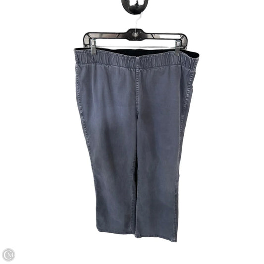 Pants Other By Soft Surroundings In Grey, Size: 16