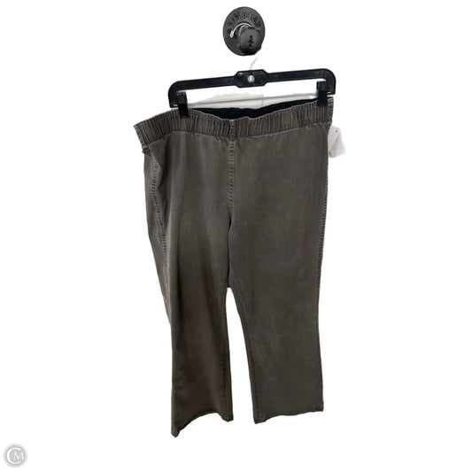 Pants Other By Soft Surroundings In Brown, Size: 16