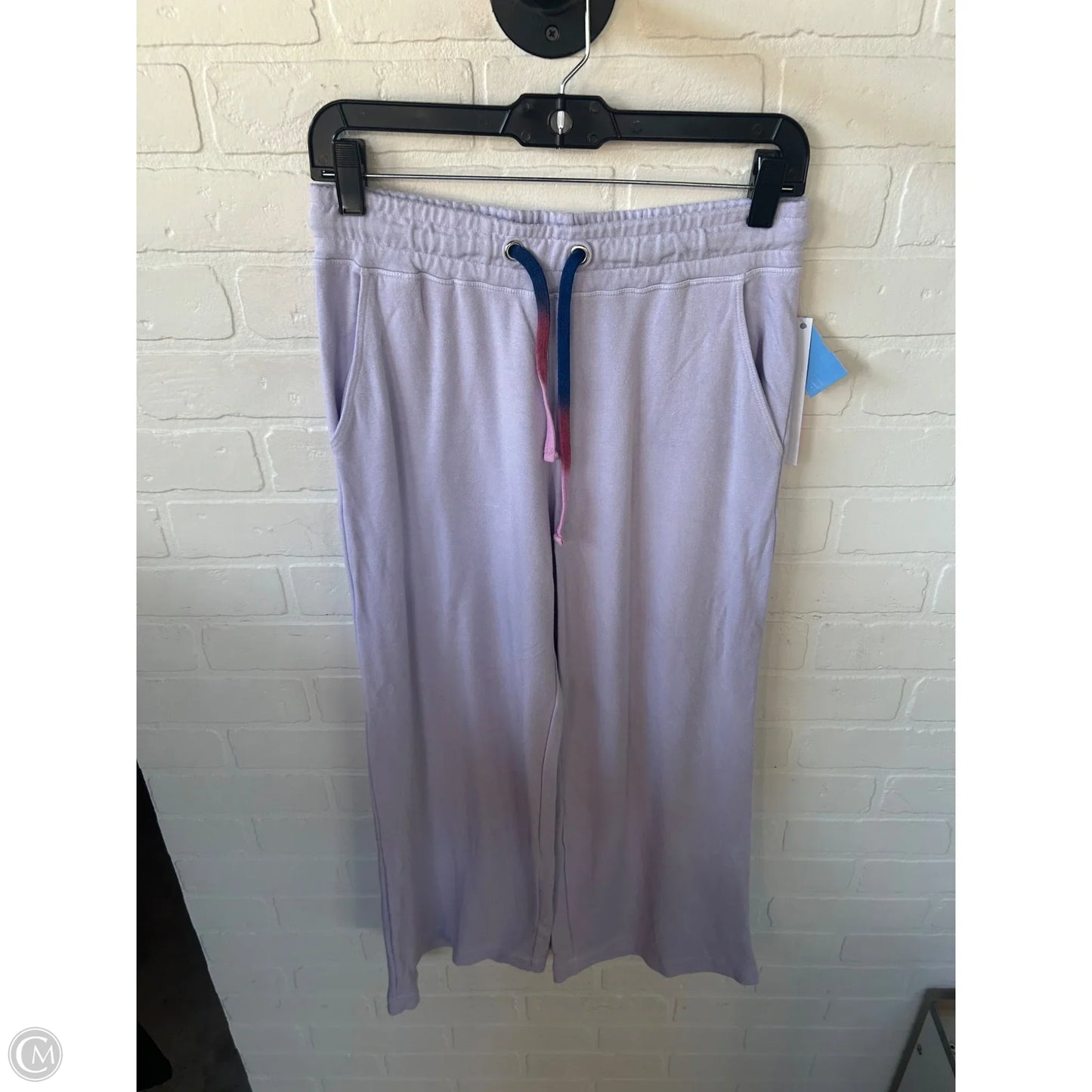Pants Lounge By Sundry In Purple, Size: 4