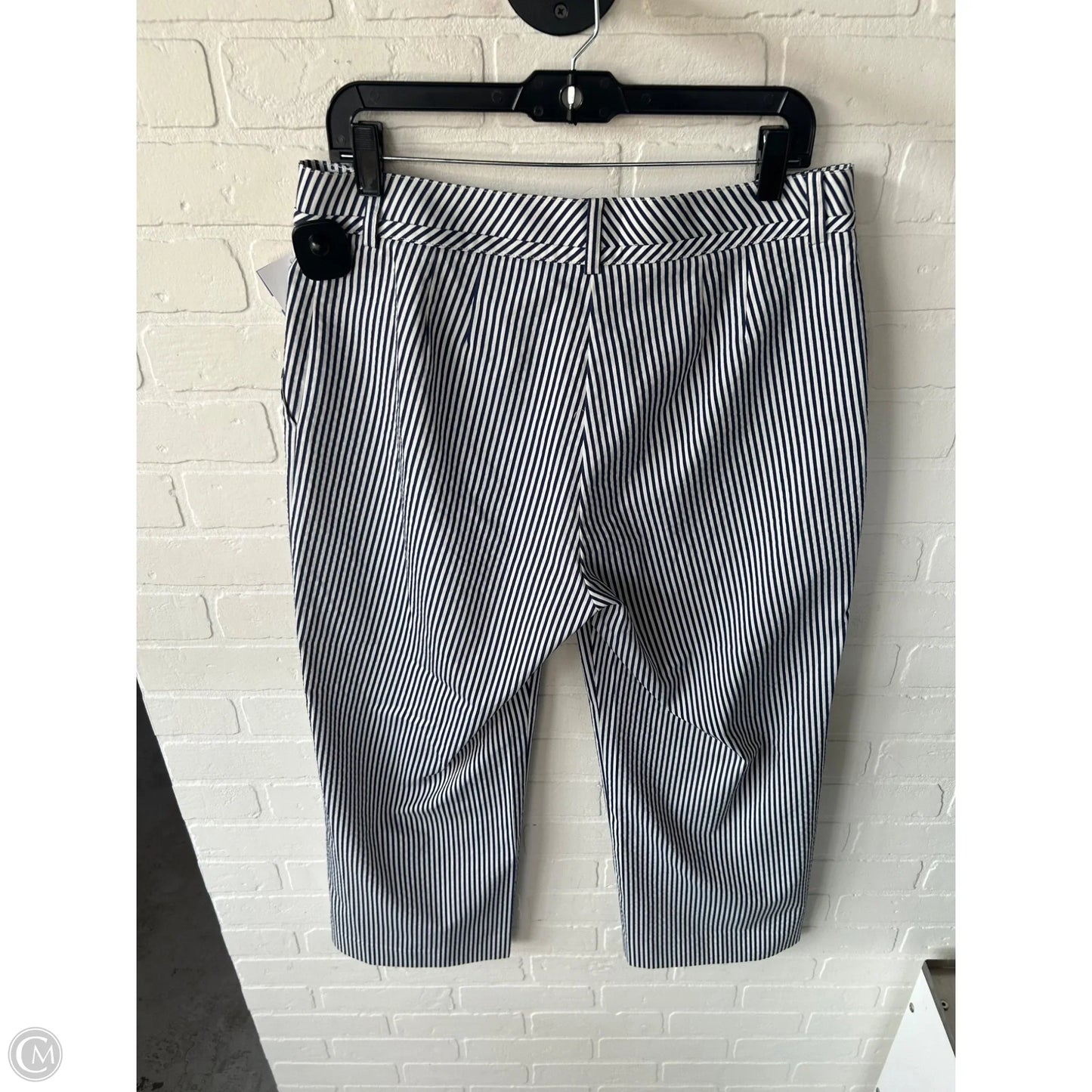 Pants Luxury Designer By St John Collection In Blue & White, Size: 12