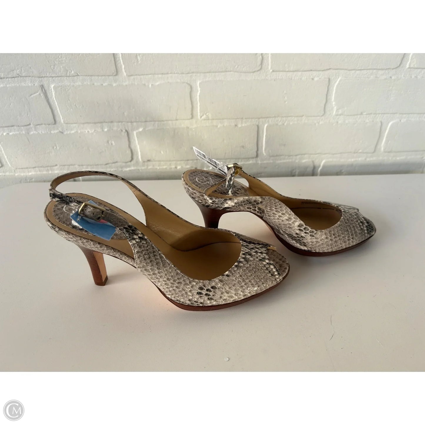 Sandals Heels Stiletto By Cole-haan In Snakeskin Print, Size: 9