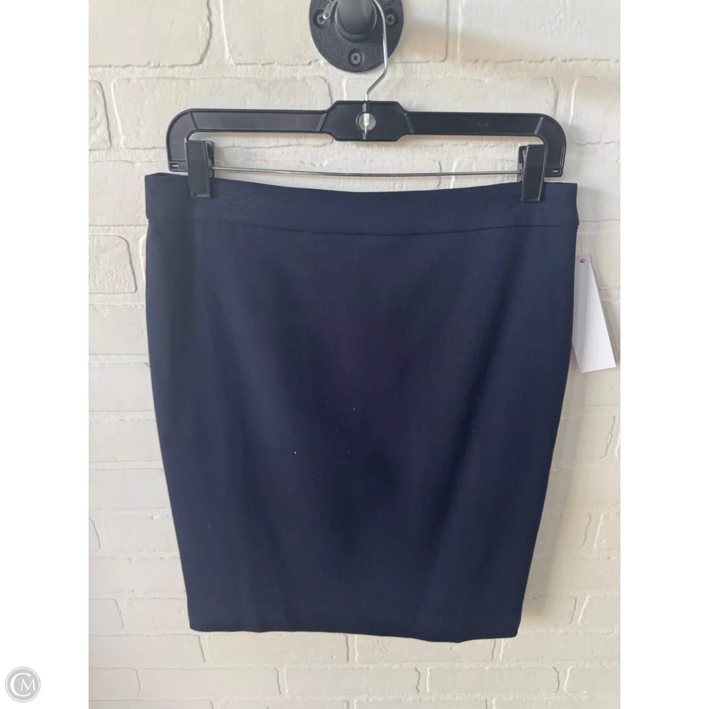 Skirt Mini & Short By J. Crew In Blue, Size: 8p
