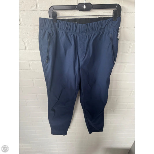 Athletic Pants By Eddie Bauer In Blue, Size: 12