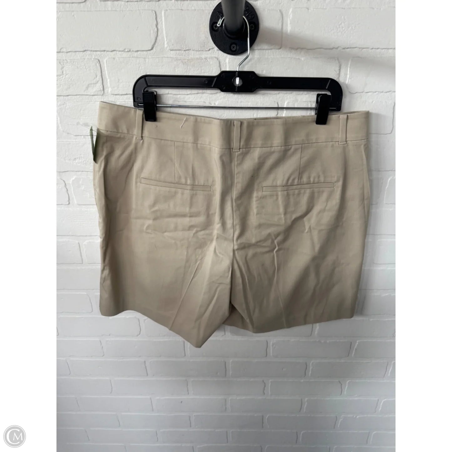 Shorts By Ann Taylor In Tan, Size: 14