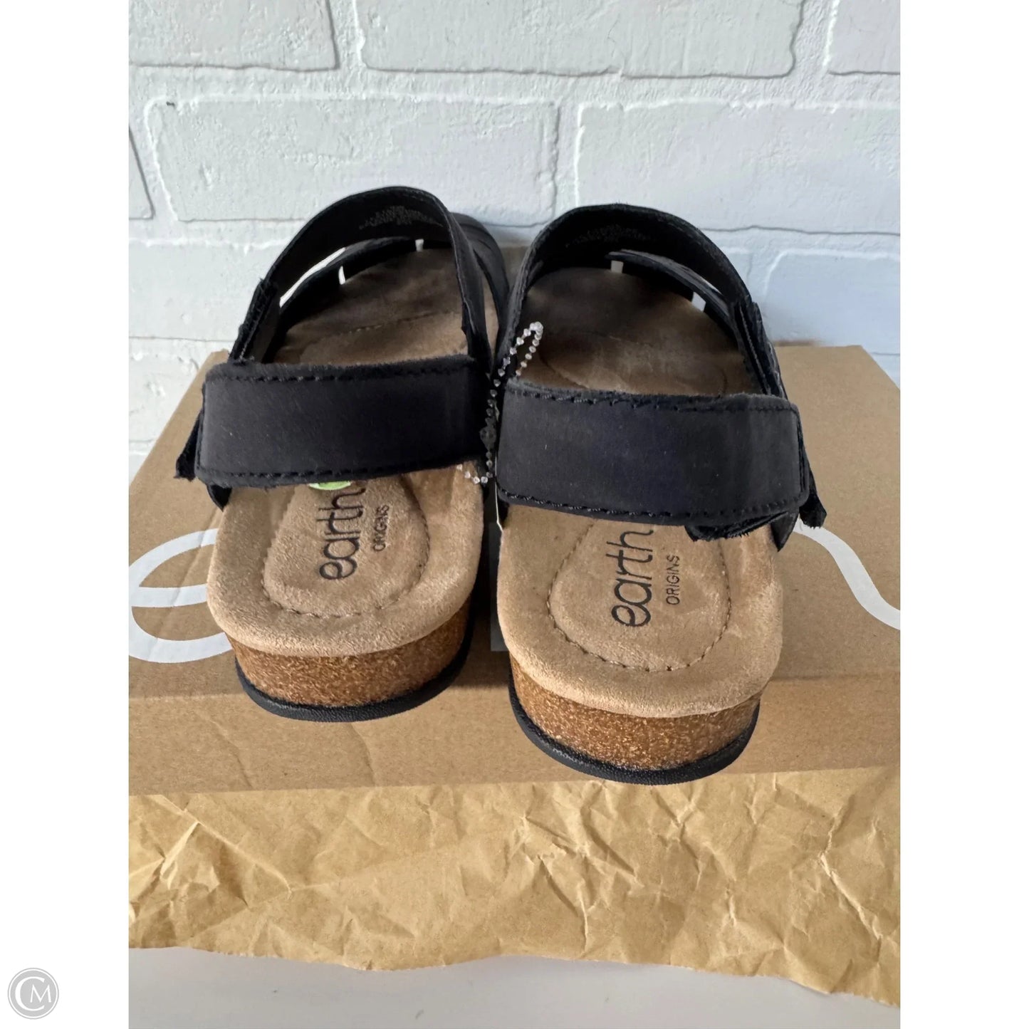 Shoes Flats By Earth In Blue, Size: 9